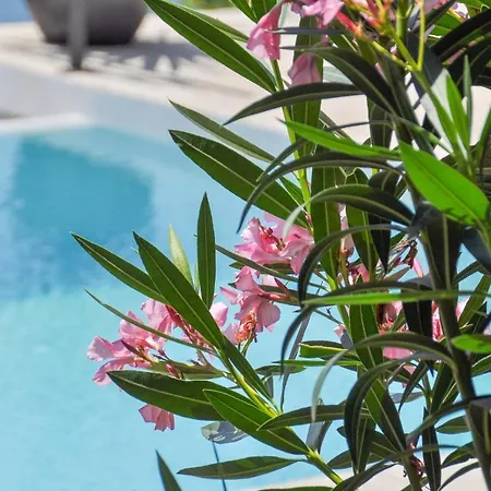 Artistic House With Pool יאדראנובו