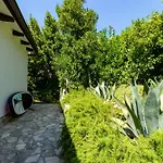 Artistic House With Pool Vakantiehuis Jadranovo
